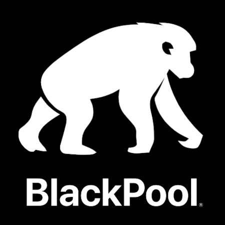 BlackPool: Інвестиційний фонд 100% NFT